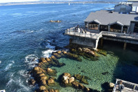 Exterior view of Monterey Bay Aquarium