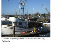 crabbers preparing for the season at crescent city, california