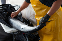fish at the tuna harbor dockside market