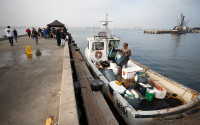 boat at the Tuna Harbor Dockside Market in San Diego. Photo: Fred Greaves