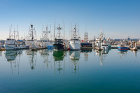 Fleet of boats