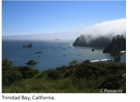 trinidad bay, california