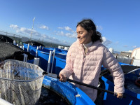 Maria Caballero Garcia at work at Moss Landing Marine Laboratory