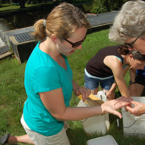 Photo: Eel Monitoring