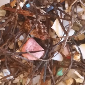 Photo: Microplastics