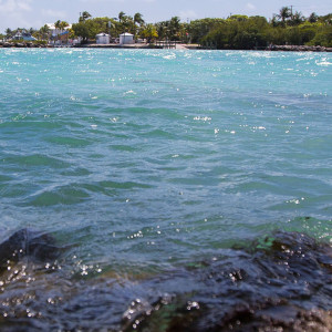 Photo: Water Watch Program