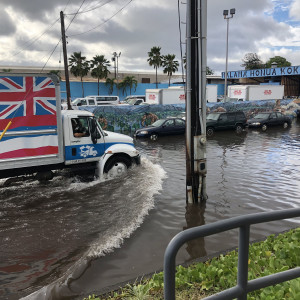 Photo: King Tides Project