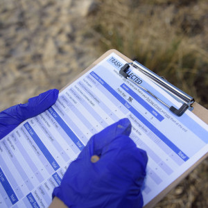 Photo: MS Beach Cleanup