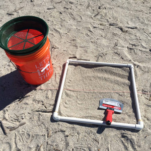 Photo: Marine Debris Monitoring
