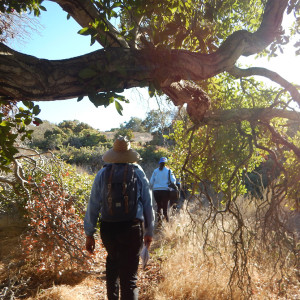 Photo: LA Coastal Naturalist Training