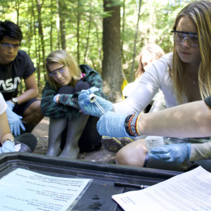 Photo: Watershed Alliance
