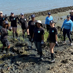 volunteers standing in the marsh