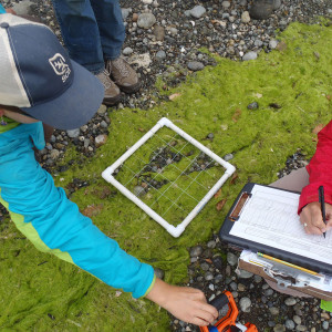 Photo: Shoreline Monitoring Toolbox