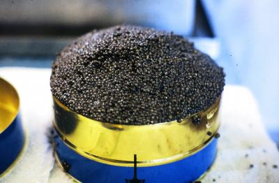 White sturgeon caviar. Photo Courtesy of The Fishery.