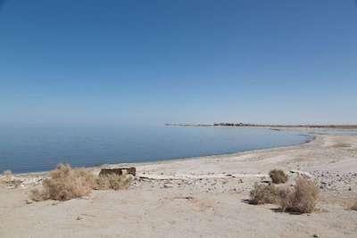 Salton Sea coast