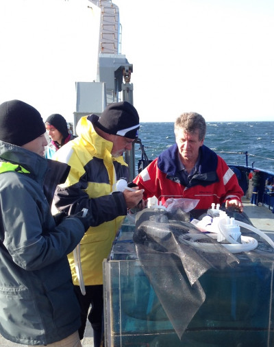 Ocean acidification research