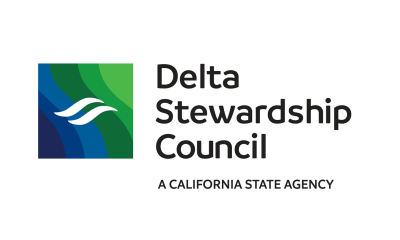 DSC Logo