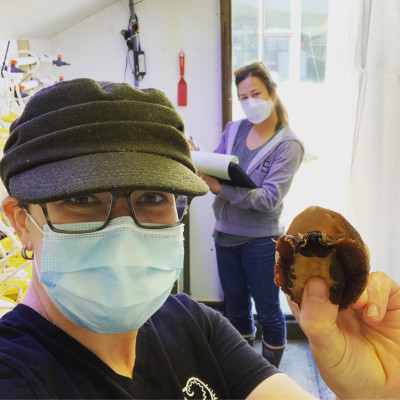 Kristin Aquilino and Shelby Kawana wear masks and practice social distancing as they measure white abalone in a California Sea Grant-funded project.