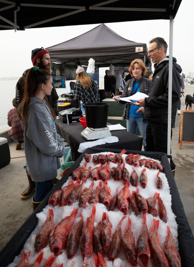 The apprentices visited the Tuna Harbor Dockside Market as part of their Seafood Marketing and Business class. Photo: Fred Greaves