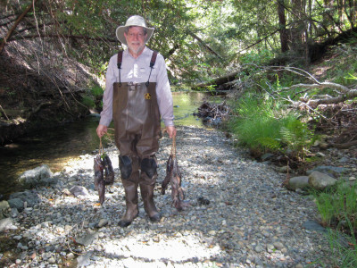 pete gruchawka, husband of nancy summers, helps distribute salmon carcasses in devil's creek_nancy summers