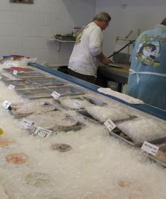 Fish on ice.