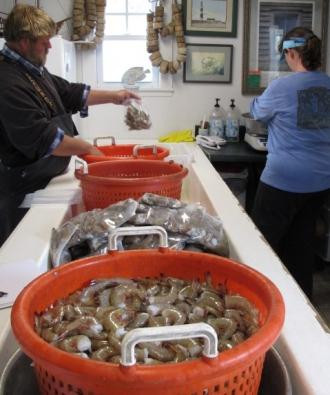Shrimp preparation