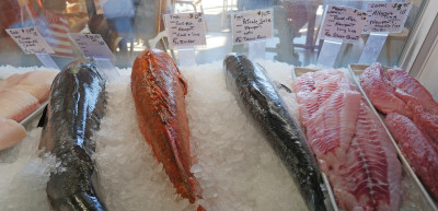 the display case at Local Ocean's fish market in Newport with fish for sale from various fishing vessels