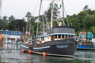 A boat docked during the Shop the Dock tour in Newport, Oregon
