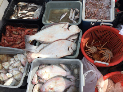 seafood products in buckets