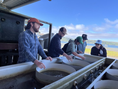 Aquanauts students at Hog Island