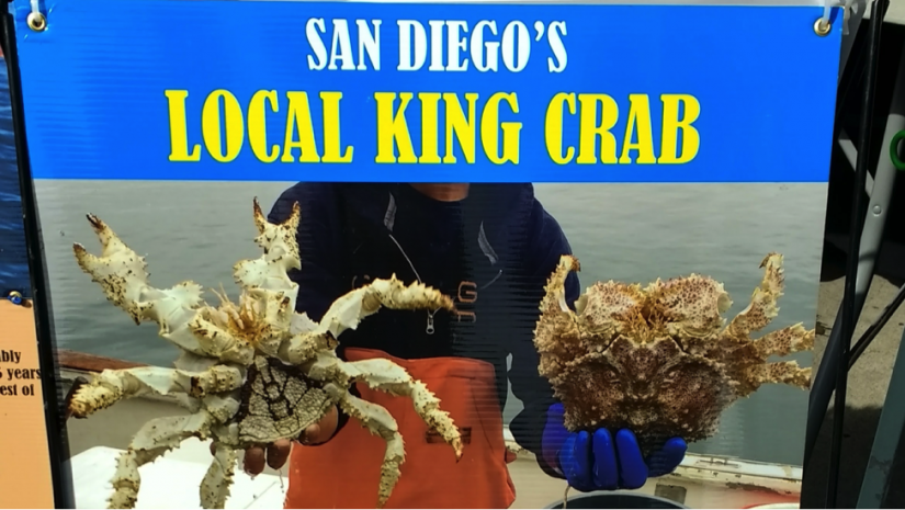 picture of fisherman holding box crabs under banner that reads "San Diego's Local King Crab"