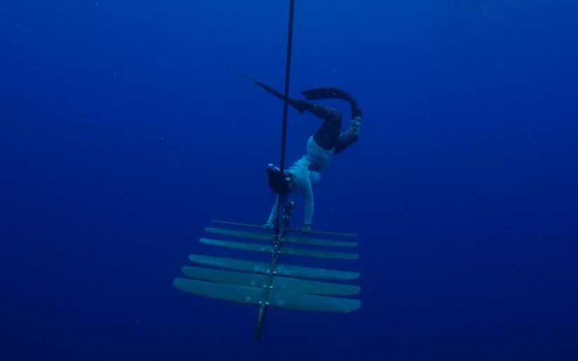 Flo free diving in Hawai'i while training how to use a wave glider with the team from the University of the Philippines.  
