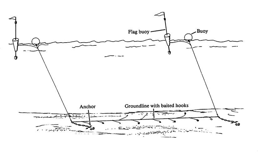 Different types of fishing gear used in the Jaffna lagoon