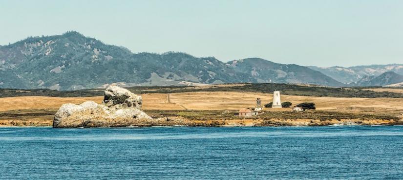Piedras Blancas State Marine Reserve. Photo credit: Gary O'Neill
