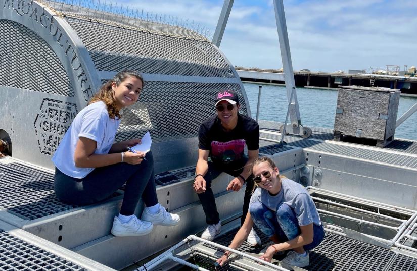 students work on FLUPSY at San Diego Bay Aquaculture