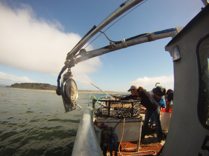 side view of boat with crab traps