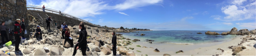 beach with people