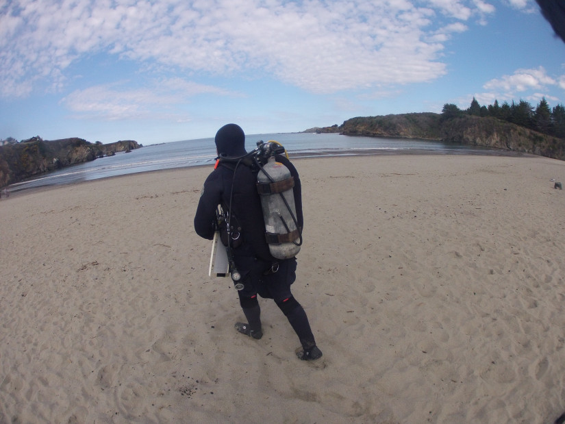 A diver prepares to enter Caspar Cove