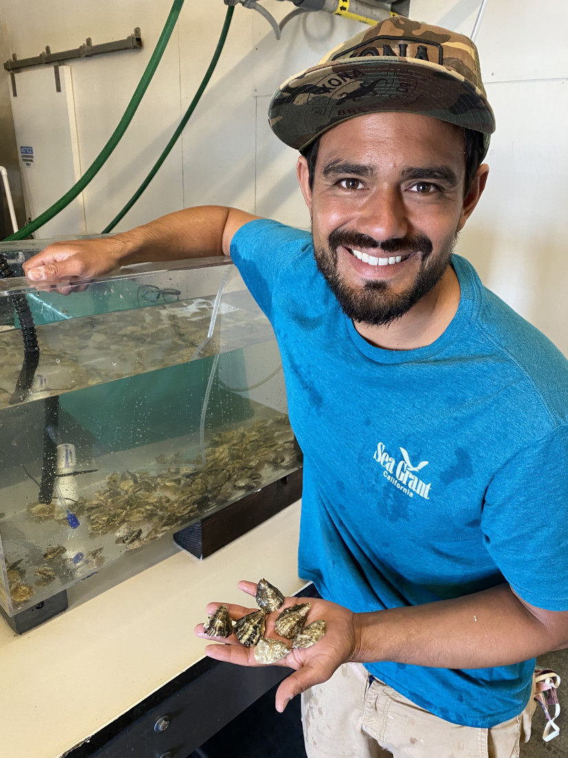 Kevin holds Pacific oysters that were brought to the Cal Poly Pier to determine growth rate in ambient conditions.