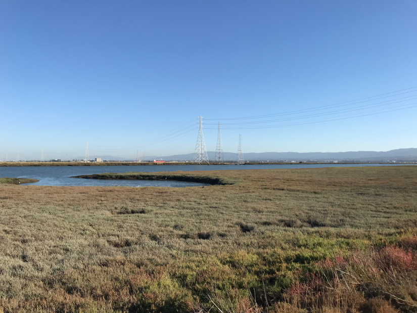 san francisco bay