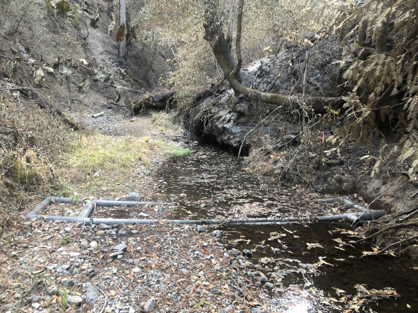 A fish-tracking antenna in the burn area on Mill Creek