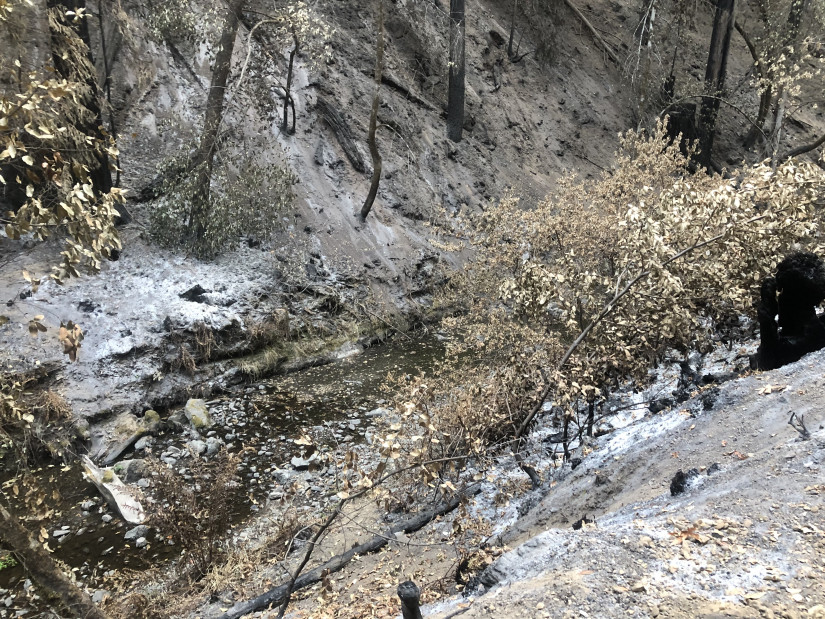 Ash and bare soil will be washed into Mill Creek during winter storms