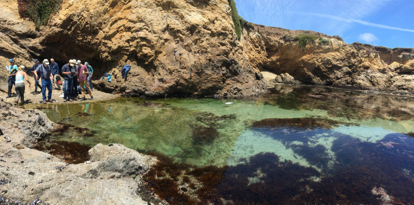 Members of the Mendocino MPA Collaborative gathered for a day of ROV training in the Great Tidepool