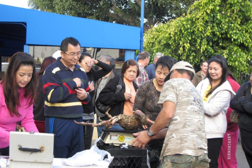 market goers at a booth selling crab