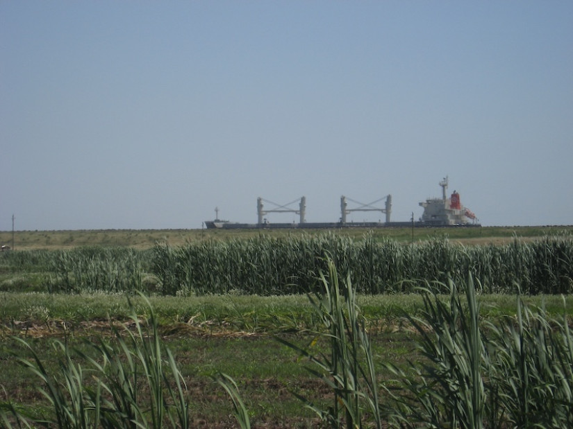 Subsidence / Twitchell Island
