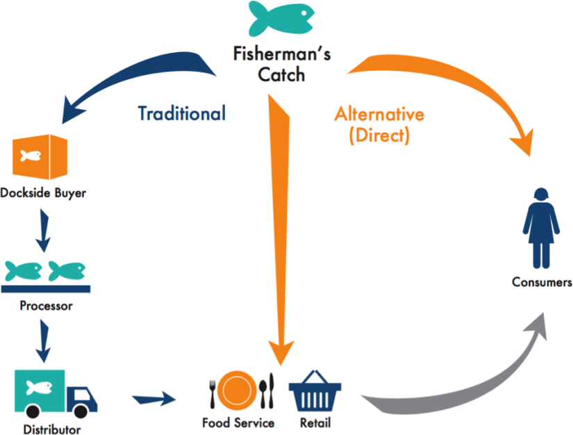 Diagram contrasting traditional and alternative, or direct, marketing of fisherman catches.