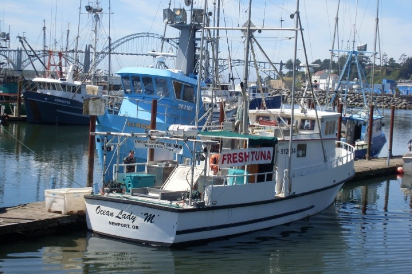 Fisher boat docked in harbor back lateral view