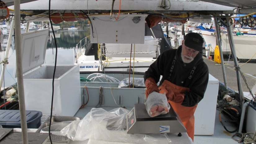 Fisherman weighing his catch on his boat
