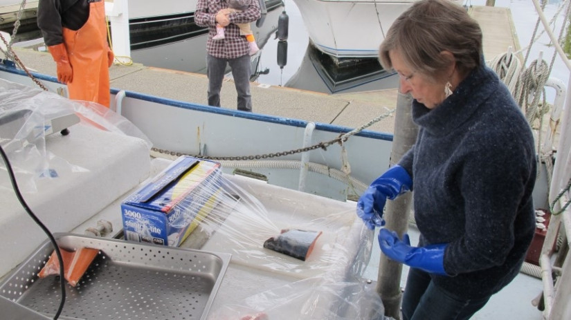 Woman wrapping catch in film.