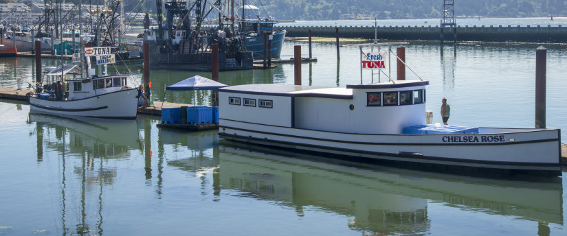 The Chelsea Rose floating seafood market and another boat sell fish at a dock in Newport, Oregon